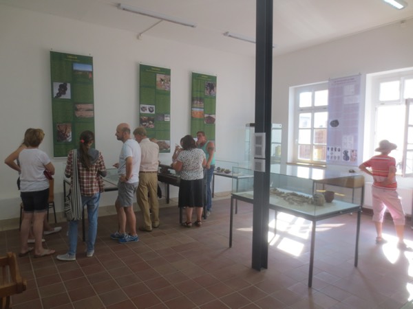 Blick in die Archäologische Schausammlung